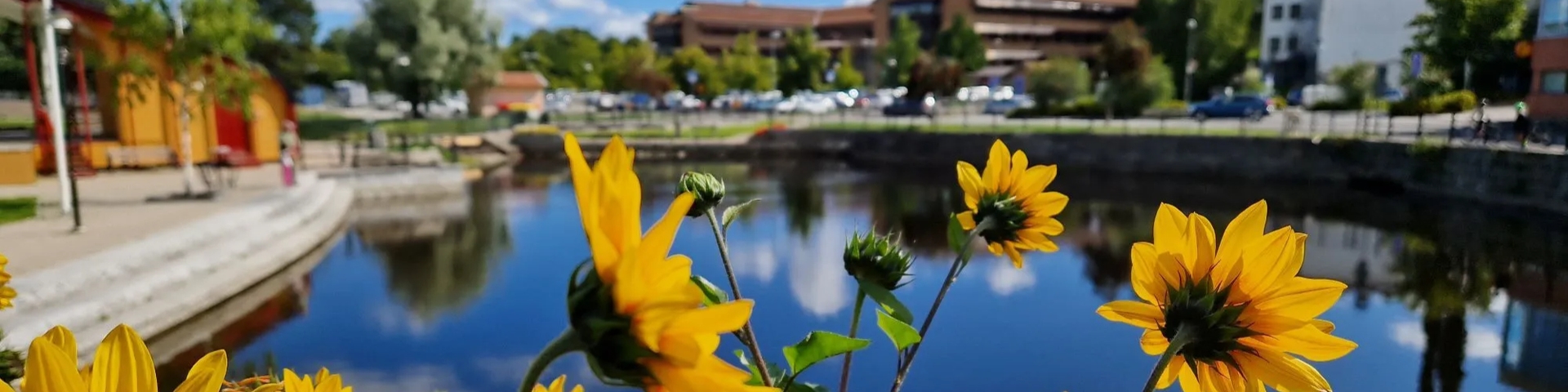 Sollefteå kommun