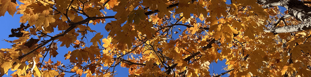 Gislaveds kommun banner